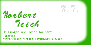 norbert teich business card